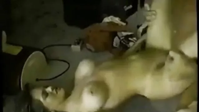A vörös hajú nő orális szexet folytat egy autóban a amatőr duci szex parkolóban.
